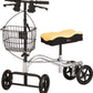 knee scooter rental near me in Long beach