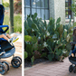 Joovy Double Stroller Rental