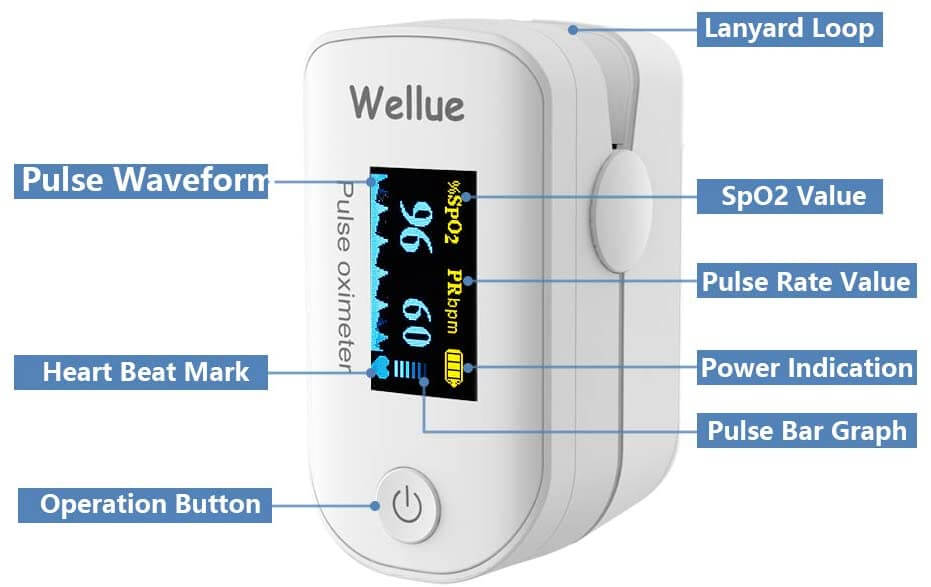 Wellue Pulse Oximeter Fingertip Blood Oxygen Saturation Monitor - Peoples Care Medical Supply