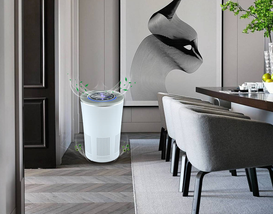 THE BEST AIR PURIFIER FOR HOME